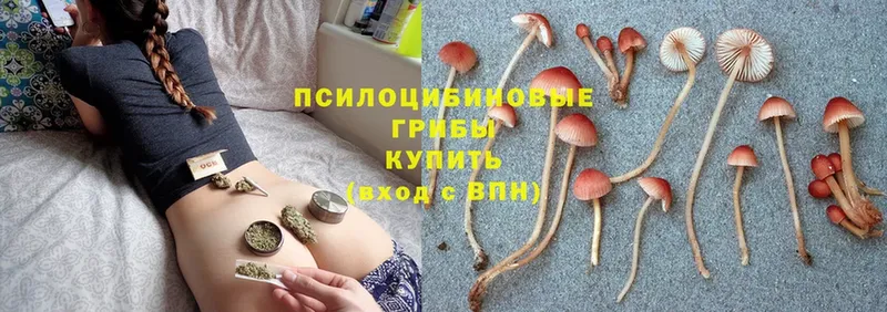 Псилоцибиновые грибы Magic Shrooms  Константиновск 